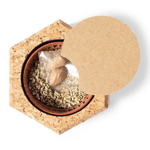 Cork flowerpot with seeds - Image 3